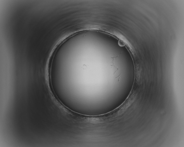 X0000102371088200808011508