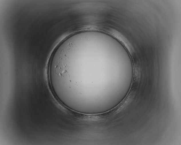 X0000102371090200808011508