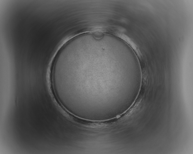 X0000102371091200808011508