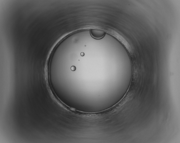 X0000102371092200808011508