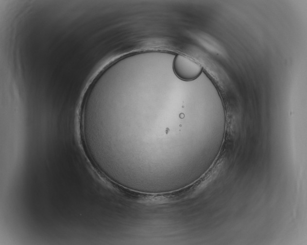 X0000102371094200808011508