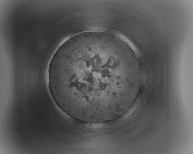X0000102371095200808011508