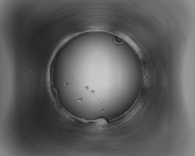 X0000102371096200808011508
