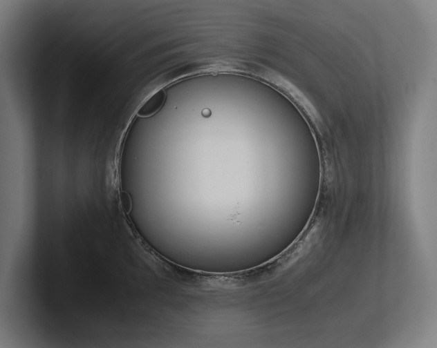 X0000102371097200808011508