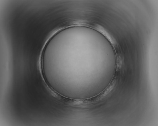X0000102371098200808011508