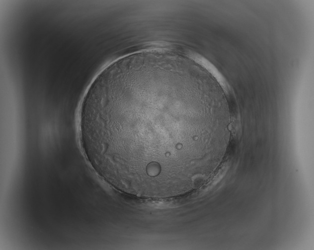 X0000102371099200808011508