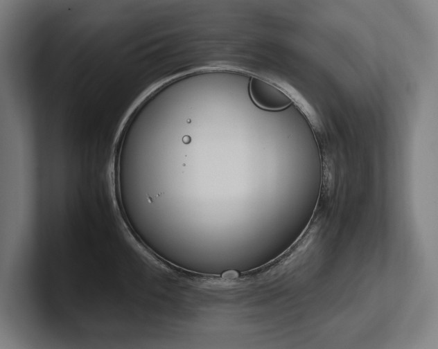 X0000102371100200808011508