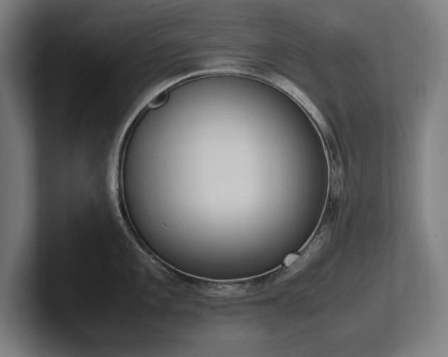 X0000102371101200808011508