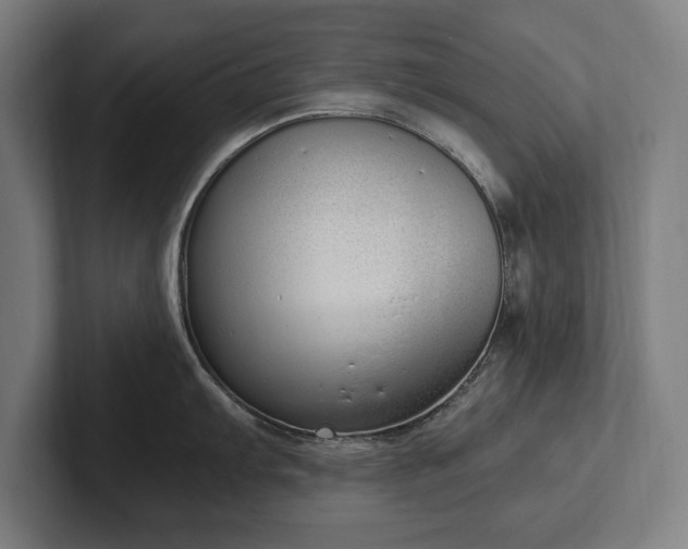 X0000102371103200808011508