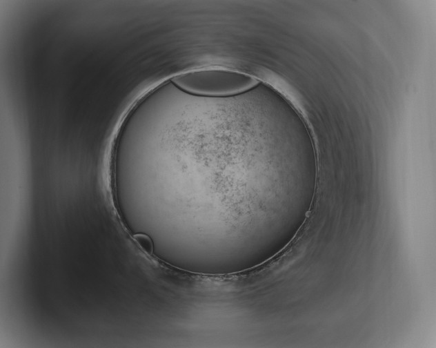 X0000102371104200808011508