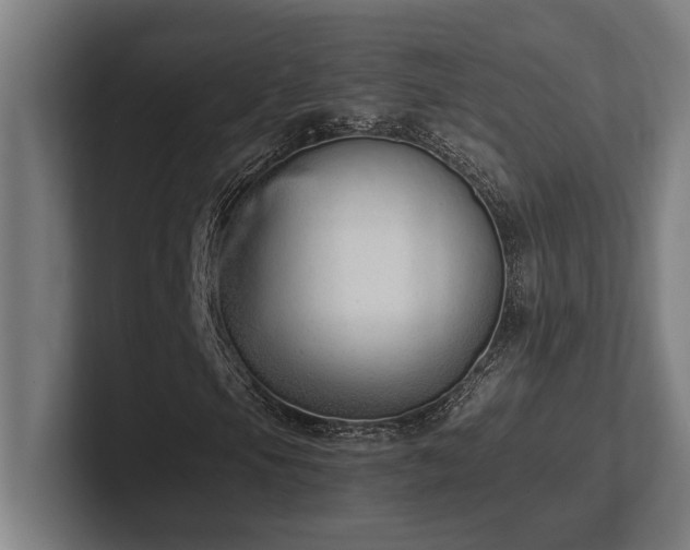 X0000102371105200808011507