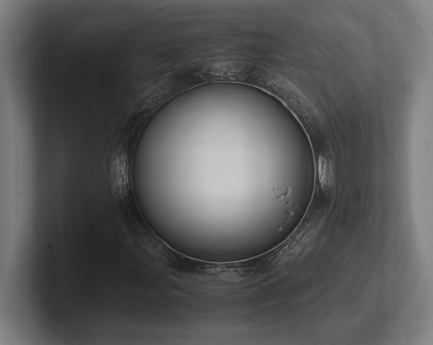 X0000102371107200808011507
