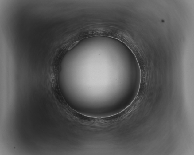 X0000102371109200808011507