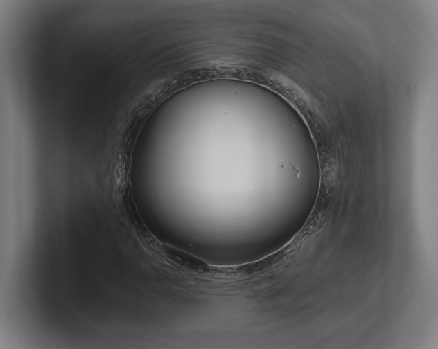 X0000102371110200808011507