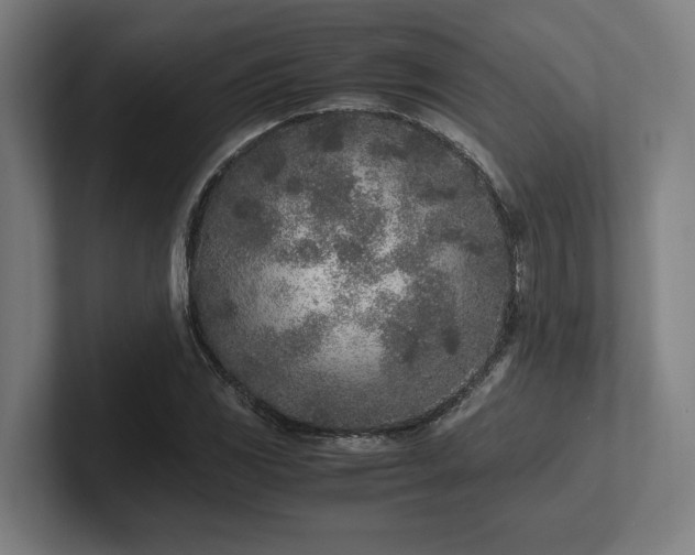 X0000102371117200808011507