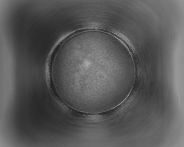 X0000102371120200808011507
