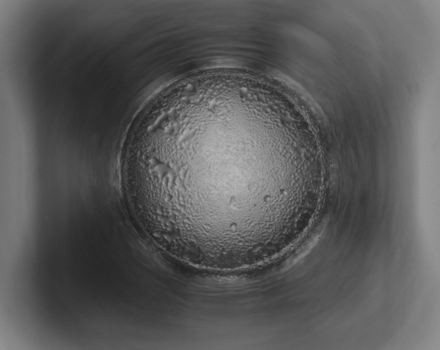 X0000102371121200808011507