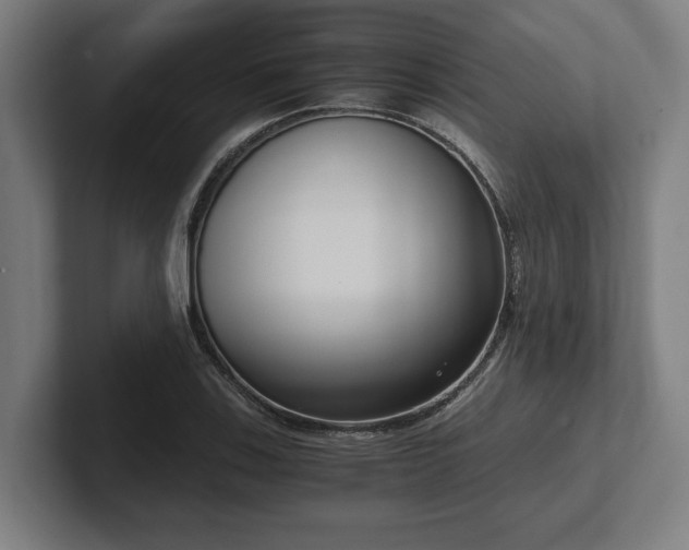 X0000102371123200808011508