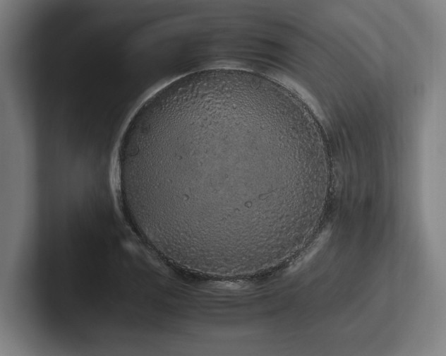 X0000102371125200808011508