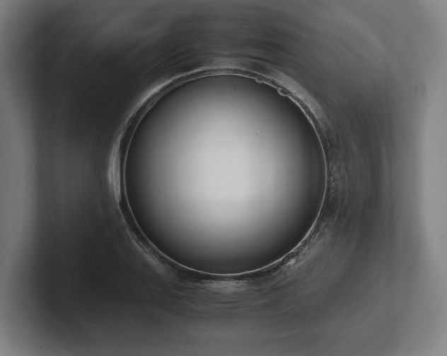 X0000102371127200808011508