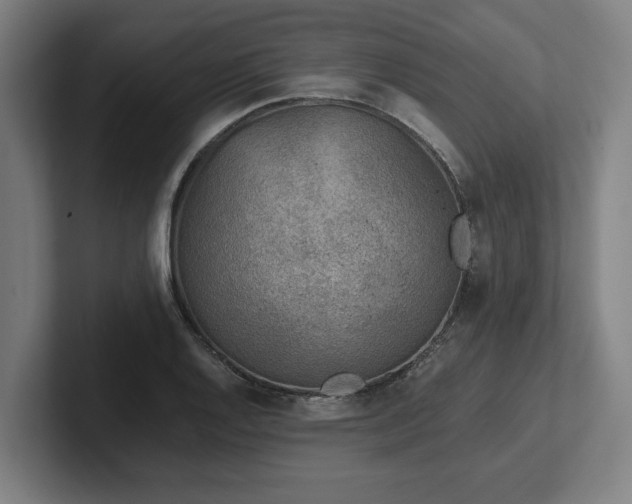 X0000102371128200808011508