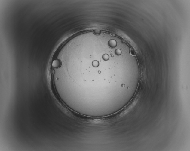 X0000102371130200808011508