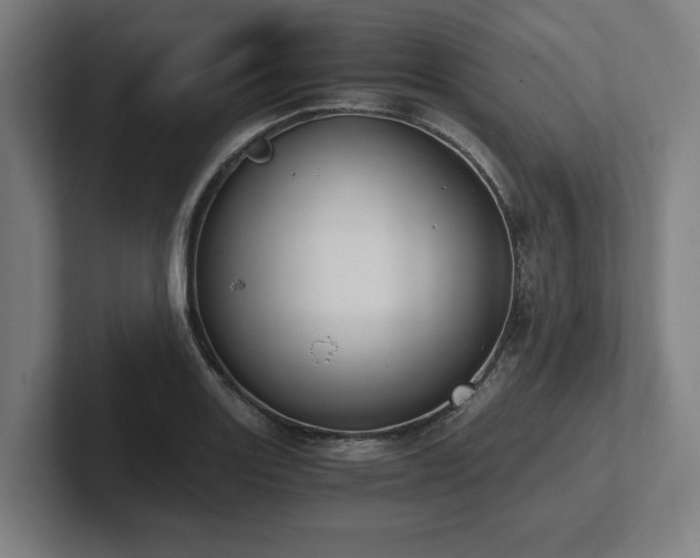 X0000102371131200808011508