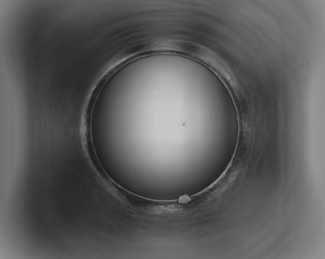 X0000102371133200808011508