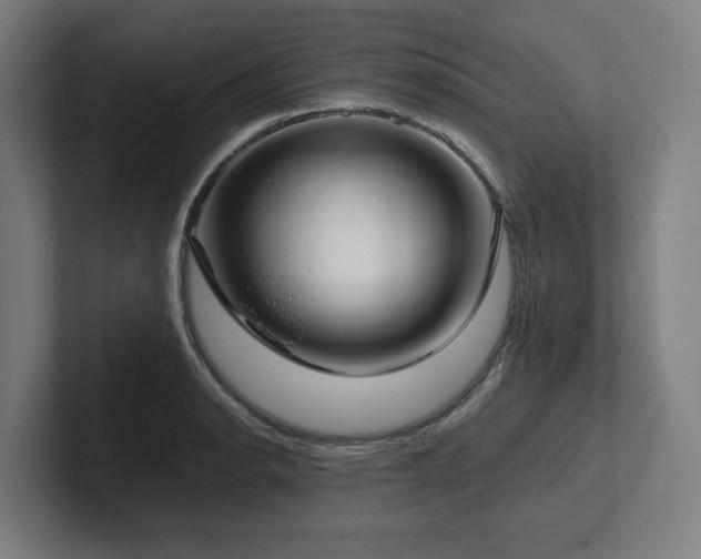 X0000102371134200808011508