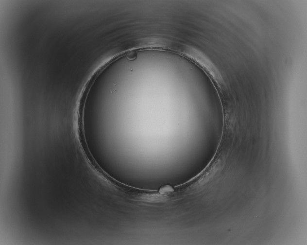 X0000102371135200808011508