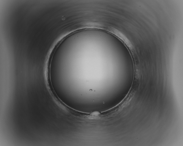 X0000102371136200808011508