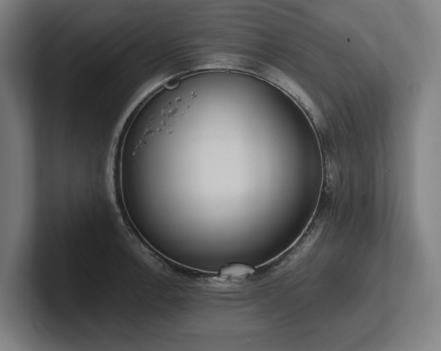 X0000102371138200808011508
