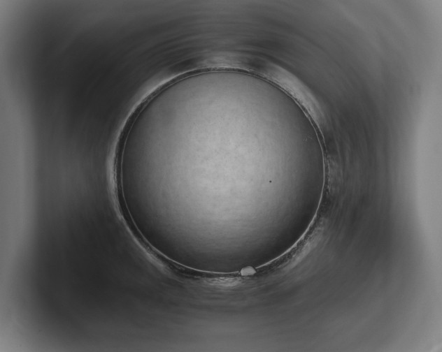 X0000102371141200808011508