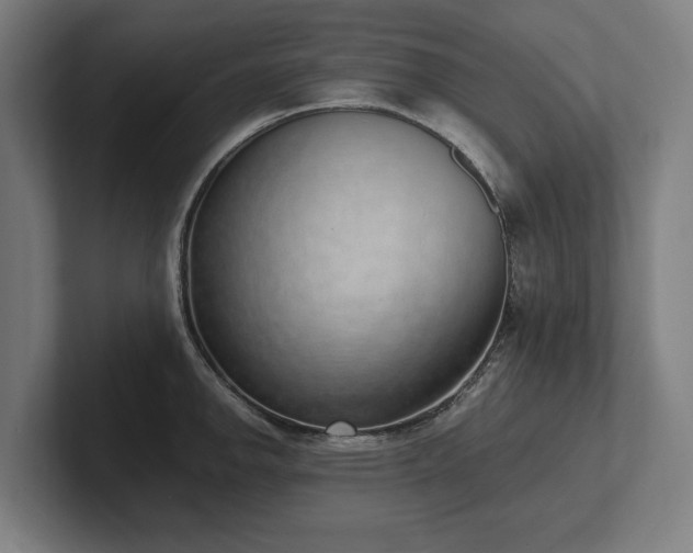 X0000102371142200808011508