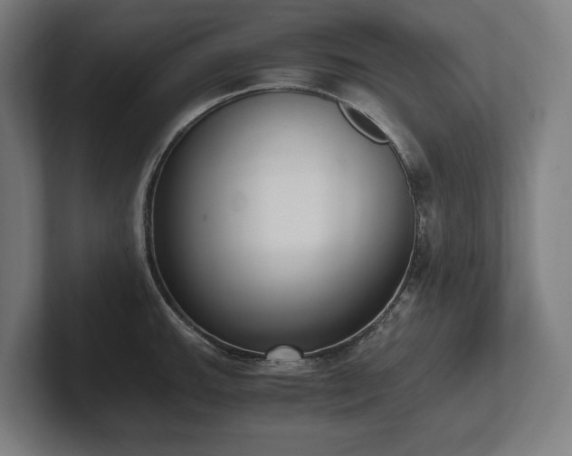 X0000102371143200808011508