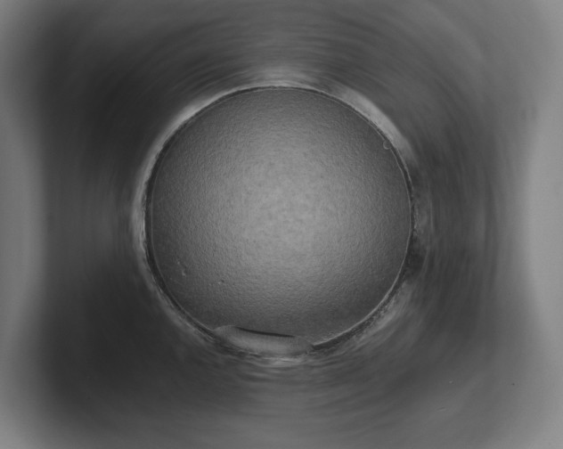 X0000102371144200808011508