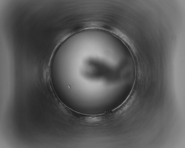 X0000102371145200808011508