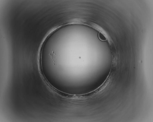 X0000102371146200808011508