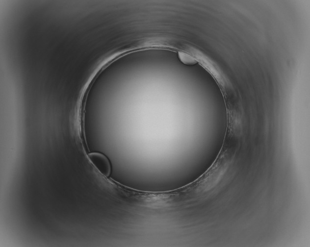 X0000102371148200808011508