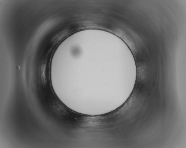 X0000102371150200808011508