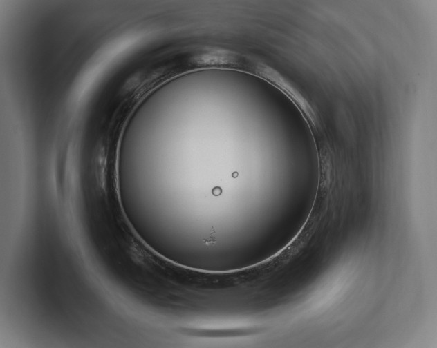 X0000102371151200808011508