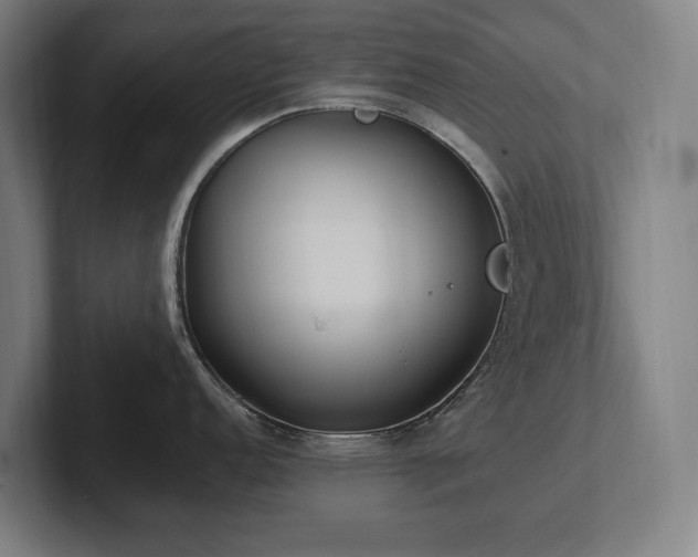 X0000102371152200808011508