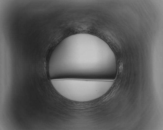 X0000102371156200808011507