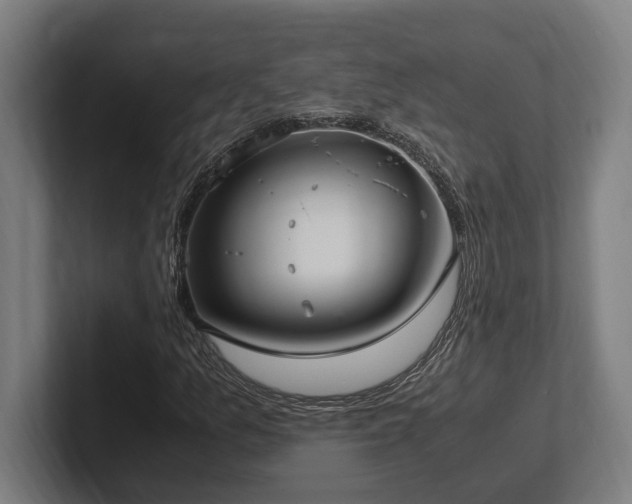 X0000102371157200808011507