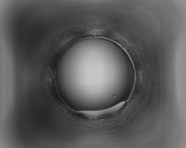 X0000102371158200808011507