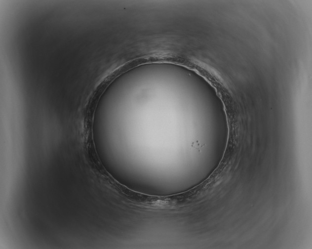 X0000102371160200808011507