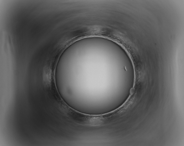 X0000102371161200808011507