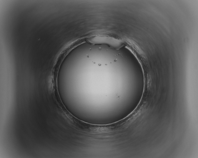 X0000102371164200808011507