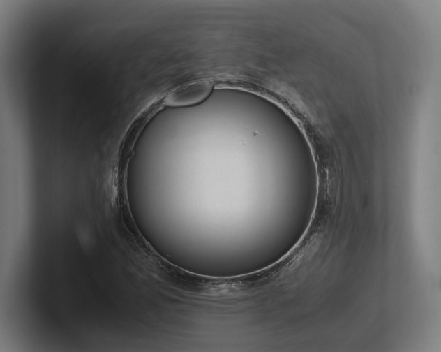 X0000102371165200808011507