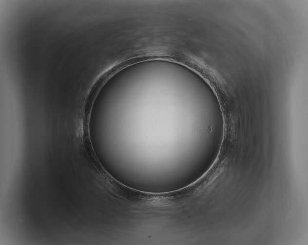 X0000102371166200808011507